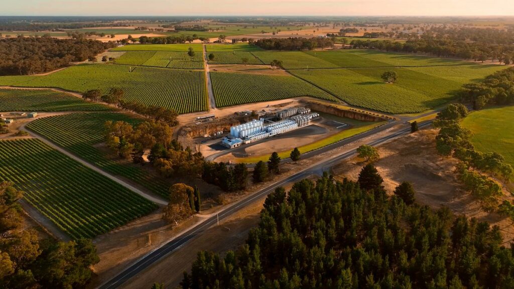 Limestone Coast Wines Kingsland Drinks